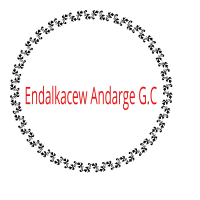 Endalkacew Andarge G.C